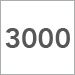 3000