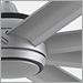 Silver with Silver Blades