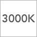 3000
