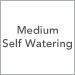Medium / Self Watering