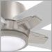 Brushed Nickel