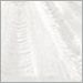 Plaster White