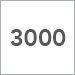 3000