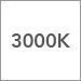 3000