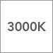 3000