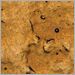 Bronze Granite