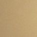 Glided Brass
