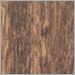 Auburn Poplar