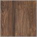 Auburn Poplar
