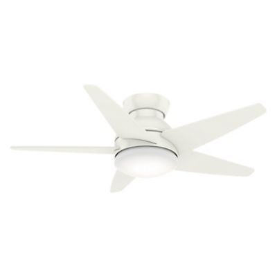 Isotope Ceiling Fan