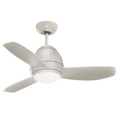 Curva Ceiling Fan