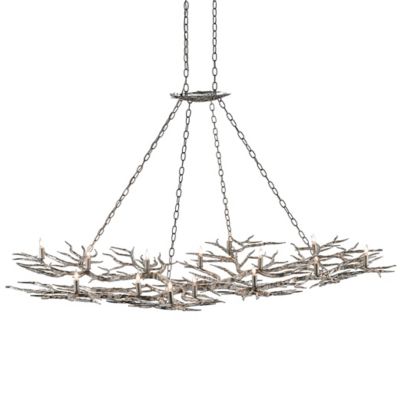 Currey & Company Rainforest Chandelier - Color: Silver - Size: 14 light - 9