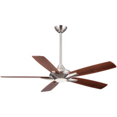 Dyno Ceiling Fan