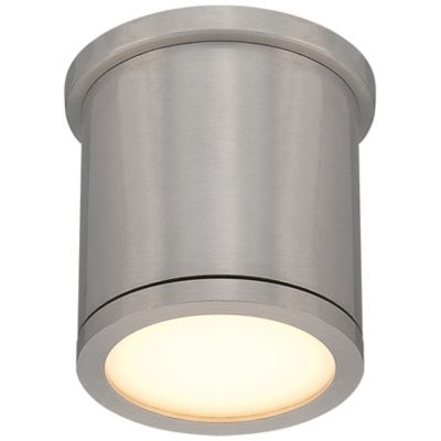 WAC Lighting Tube LED Flushmount Light - Color: Silver - Size: 1 light - FM