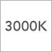 3000