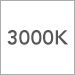 3000