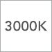 3000