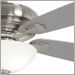 Brushed Nickel with Silver Blades