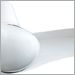 White with White Blades