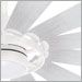 Textured White / Bleached Ashwood
