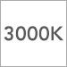 3000