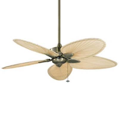 Windpointe Five Blade Ceiling Fan