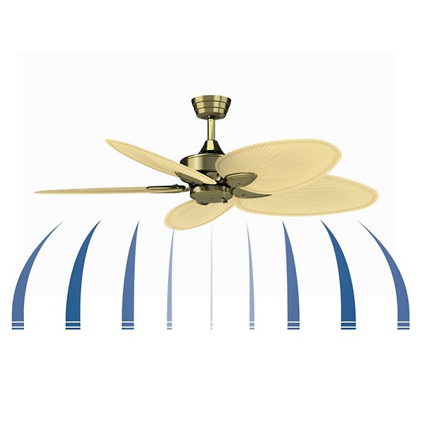 Windpointe Five Blade Ceiling Fan