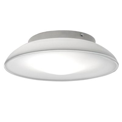 Lunex 17 Ceiling/Wall Light