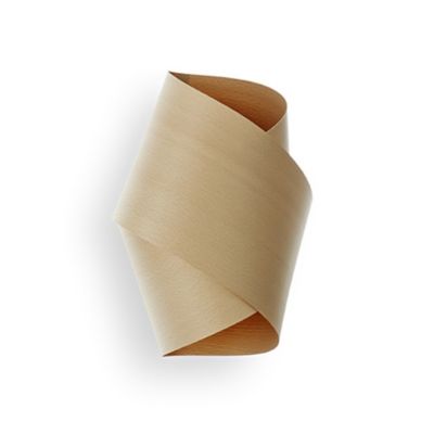 Orbit Wall Sconce