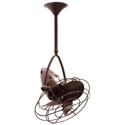 Jarold Direcional Ceiling Fan