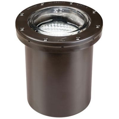 Flush 50-Watt Par 36 Well Light