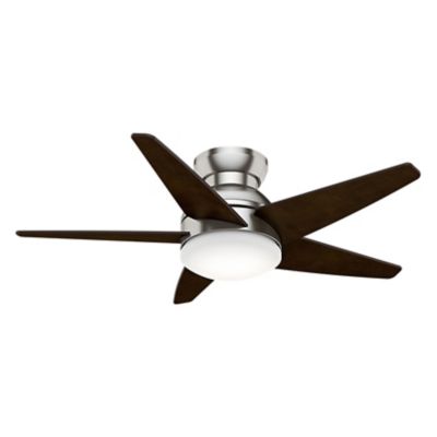 Isotope Ceiling Fan