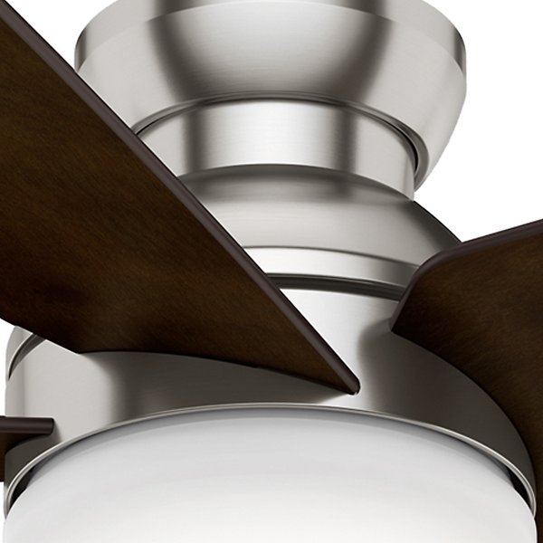 Isotope Ceiling Fan
