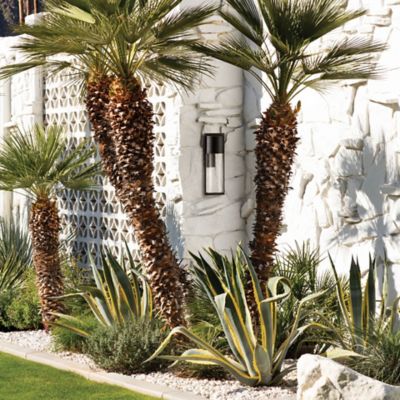 Shelter Outdoor Wall Sconce