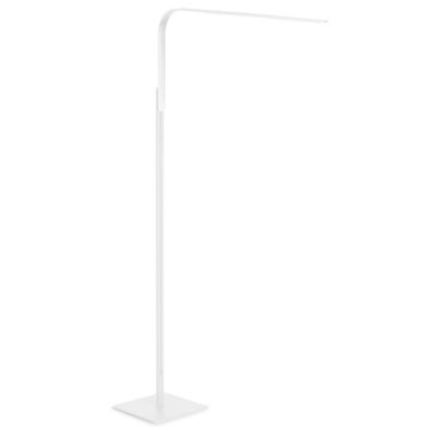 LIM Optical Floor Task Lamp
