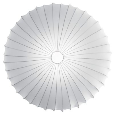 Muse Wall/Ceiling Light