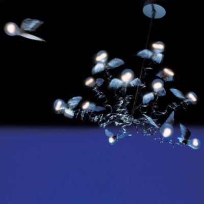 Birdie Chandelier