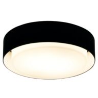 Black Flush Mount Lighting