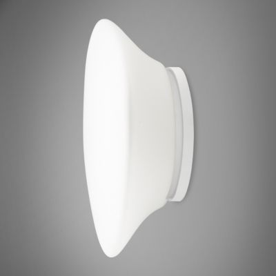 Lumi - Mycena Wall/Ceiling Light