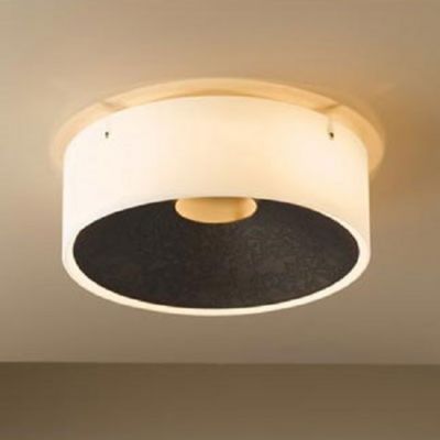 Oculus Wall/Ceiling Light