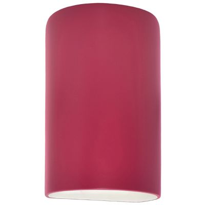 Ambiance Cylinder Downlight Wall Sconce