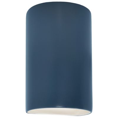 Ambiance Cylinder Downlight Wall Sconce