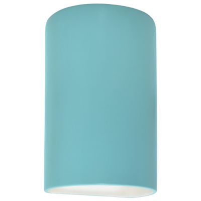 Ambiance Cylinder Downlight Wall Sconce