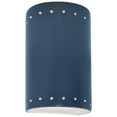 Ambiance Cylinder Downlight Wall Sconce
