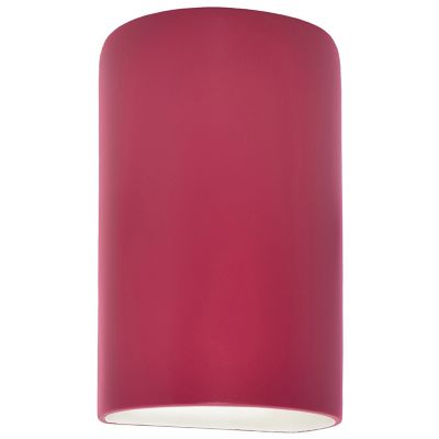 Ambiance Cylinder Downlight Wall Sconce
