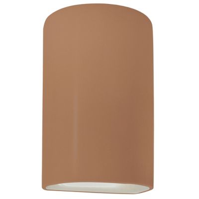Ambiance Cylinder Downlight Wall Sconce