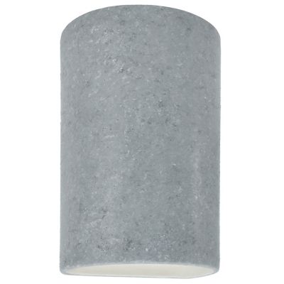 Ambiance Cylinder Downlight Wall Sconce
