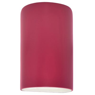 Ambiance Cylinder Downlight Wall Sconce