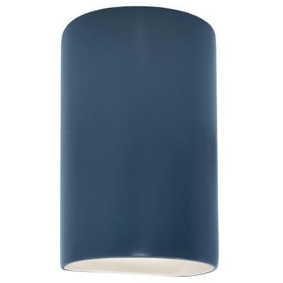 Ambiance Cylinder Downlight Wall Sconce