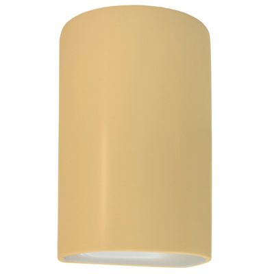 Ambiance Cylinder Downlight Wall Sconce